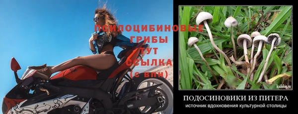 дмт Михайлов