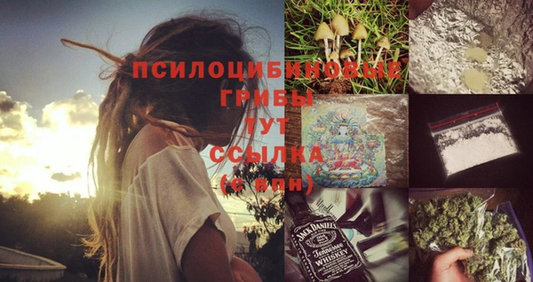 прущий лед Михайловка