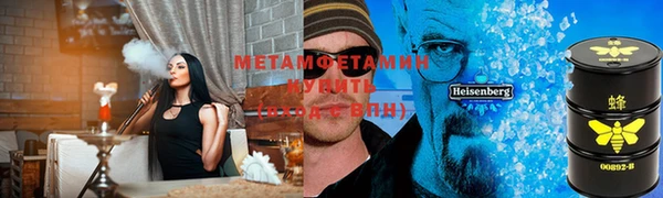 крисы Мегион