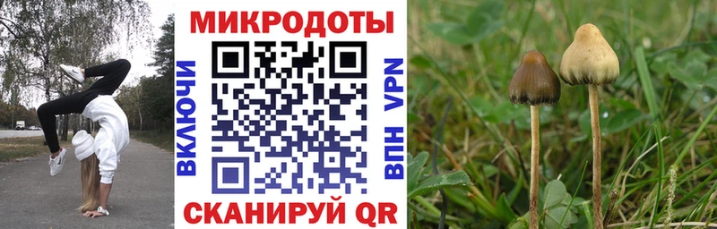 Галлюциногенные грибы прущие грибы Новороссийск