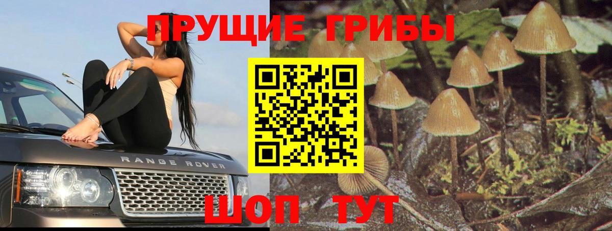 Галлюциногенные грибы прущие грибы  Вход с VPN  Псилоцибиновые грибы прущие грибы  Новороссийск 