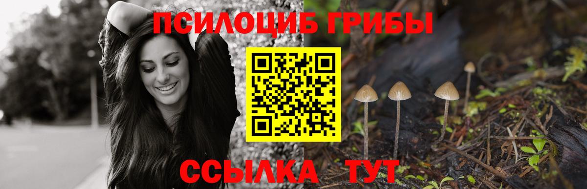 Амфетамин Новороссийск