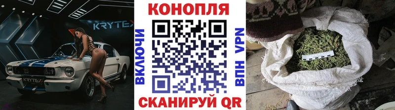 где найти   Новороссийск  Марихуана индика 