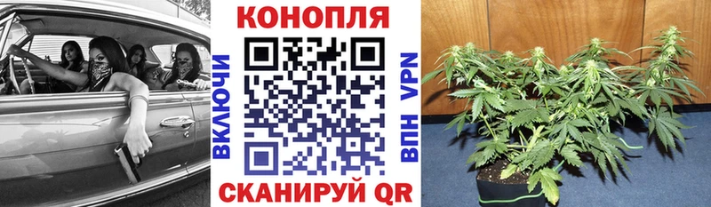 Конопля MAZAR Новороссийск